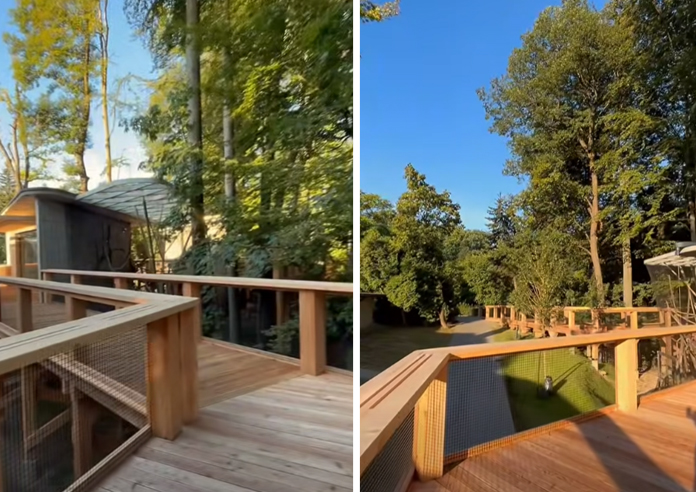 Nowa kładka wśród koron drzew w krakowskim ZOO