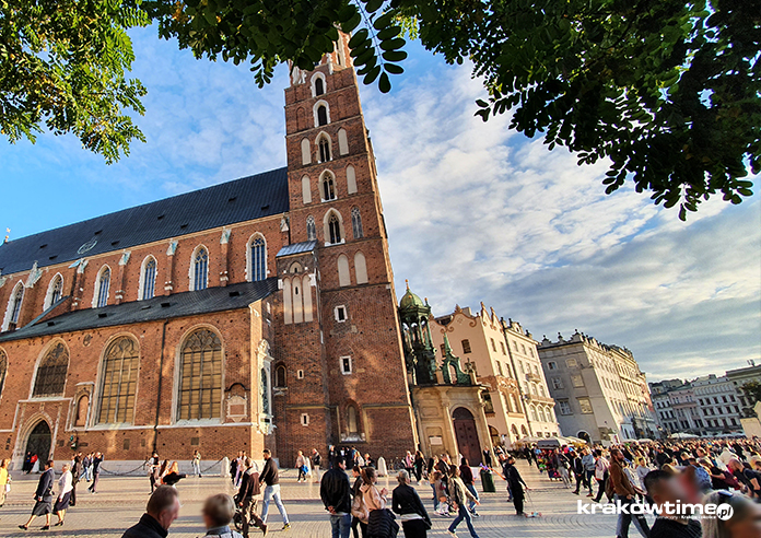 Posadzą drzewa na rynku w Krakowie